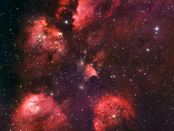 Cat's Paw Nebula