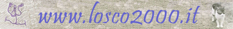 Losco2000's website is not longer online.