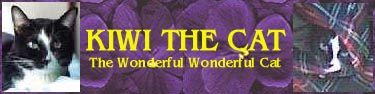 www.kiwithecat.it